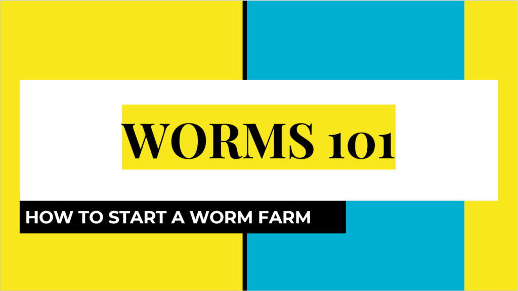 Paradise Gardeners Worms 101: How to Start a Worm Farm Powerpoint -thumb